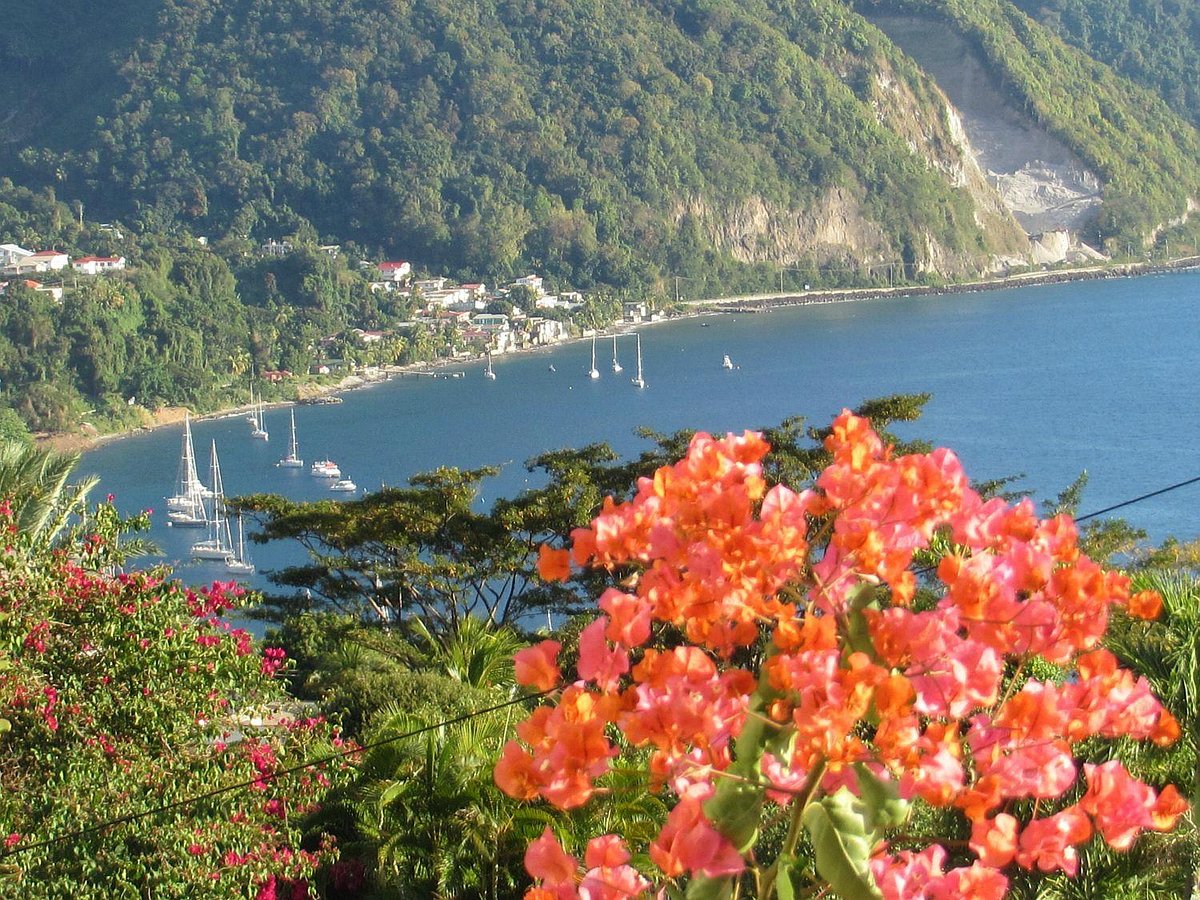 Soufrière Bay, Dominica with bougainvillea and sailboats