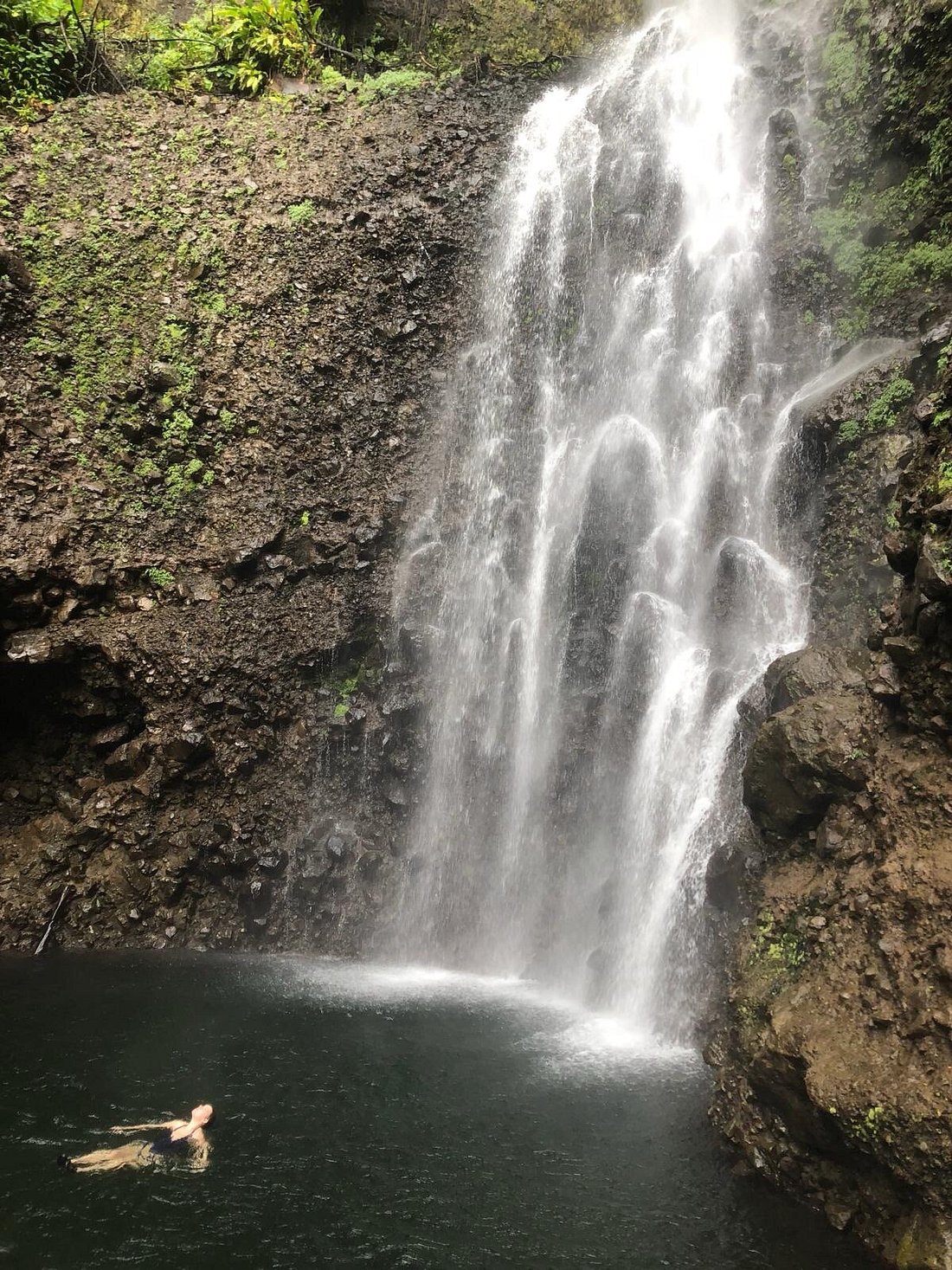 Waterfalls & Rainforest
